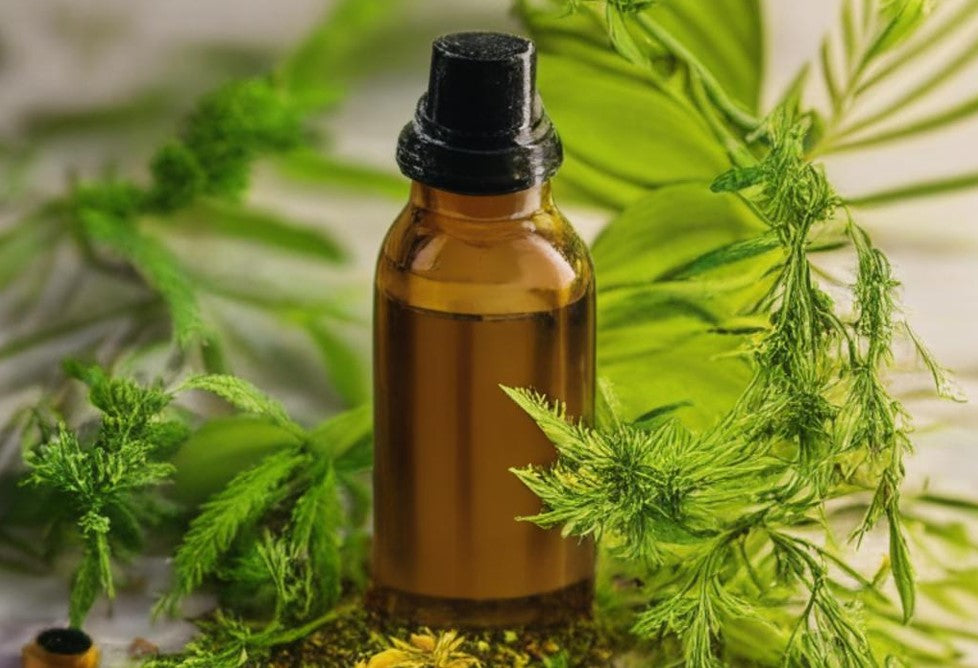 Hemp Seed Oil: Your Skin's Superhero Sidekick for Radiant Glow!