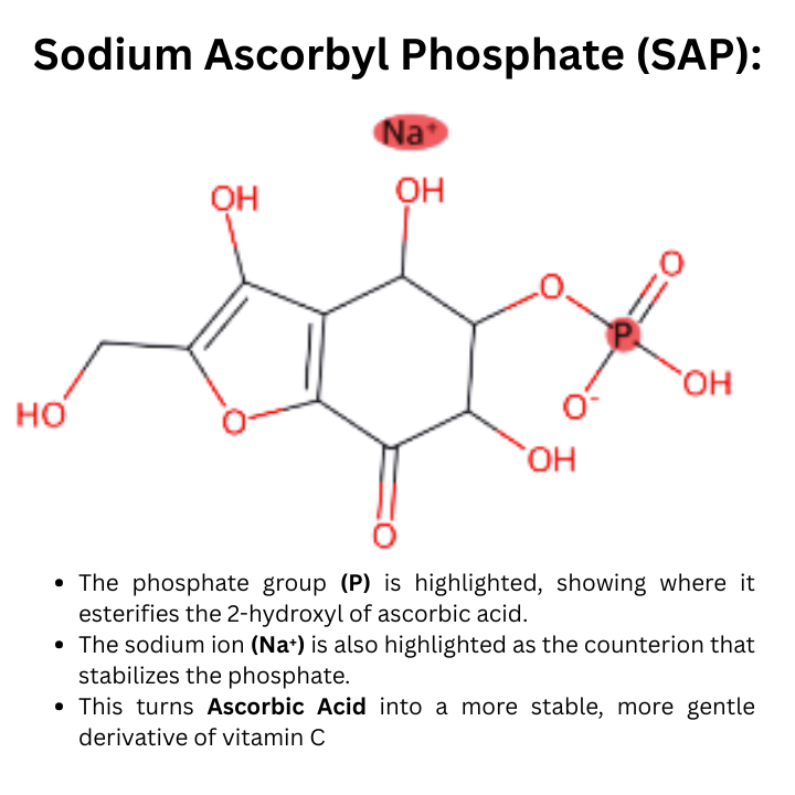 Chemical structure of Sodium Ascorbyl Phosphate showing phosphate group attached at the 2-hydroxyl of Vitamin C and sodium counterion.