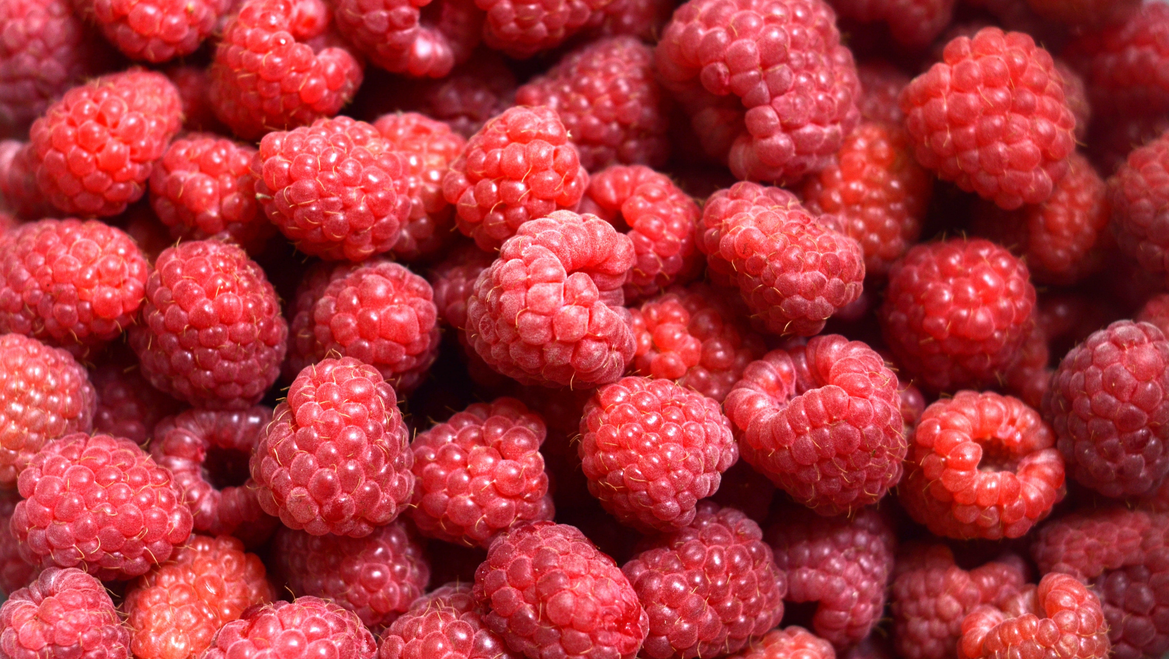 Red Raspberry - Raspberry Seed Oil in Scrub a lil Deepa's